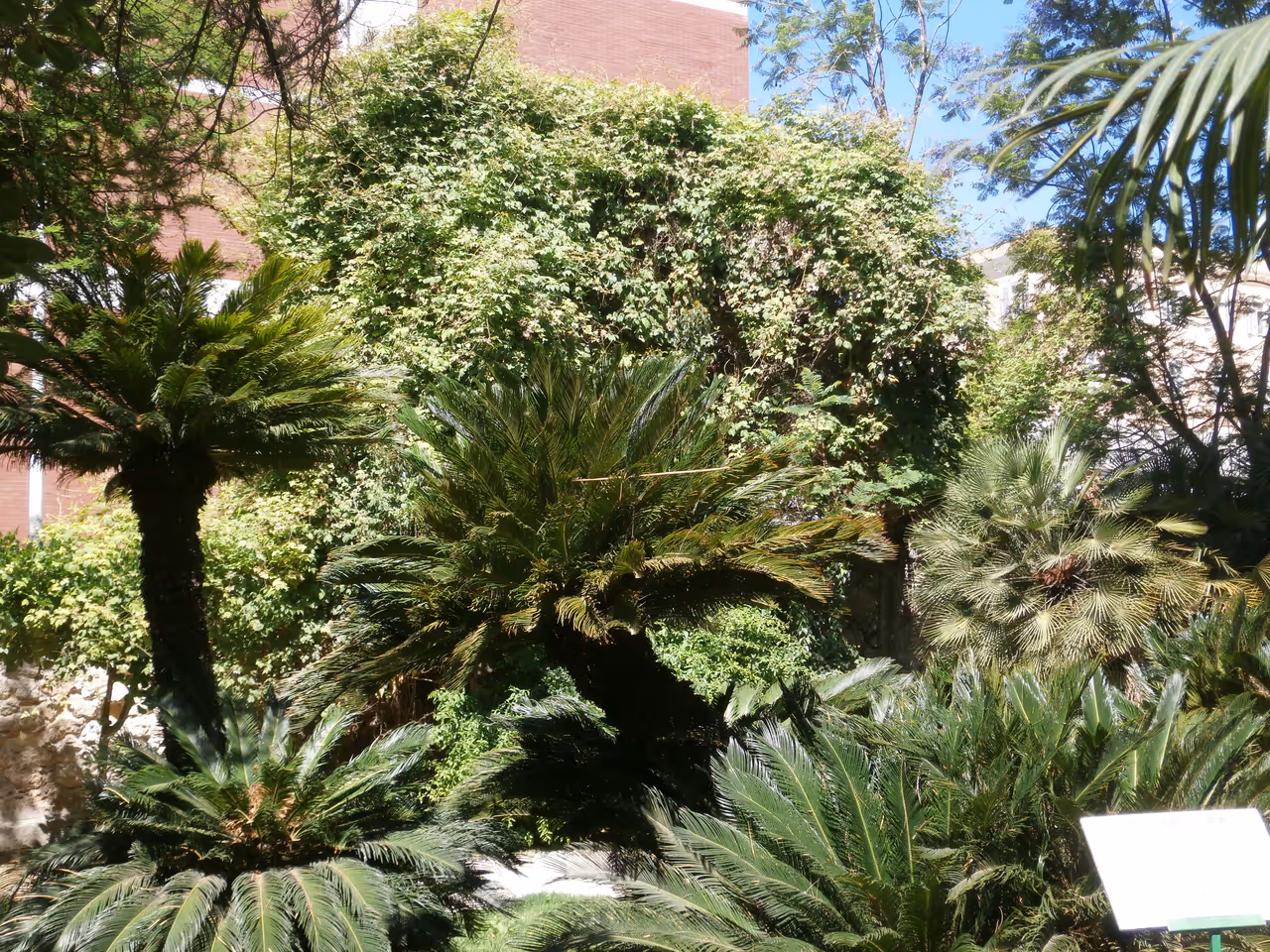 Botanical garden in Cagliari