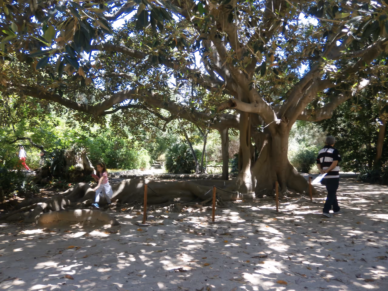 Botanical garden in Cagliari