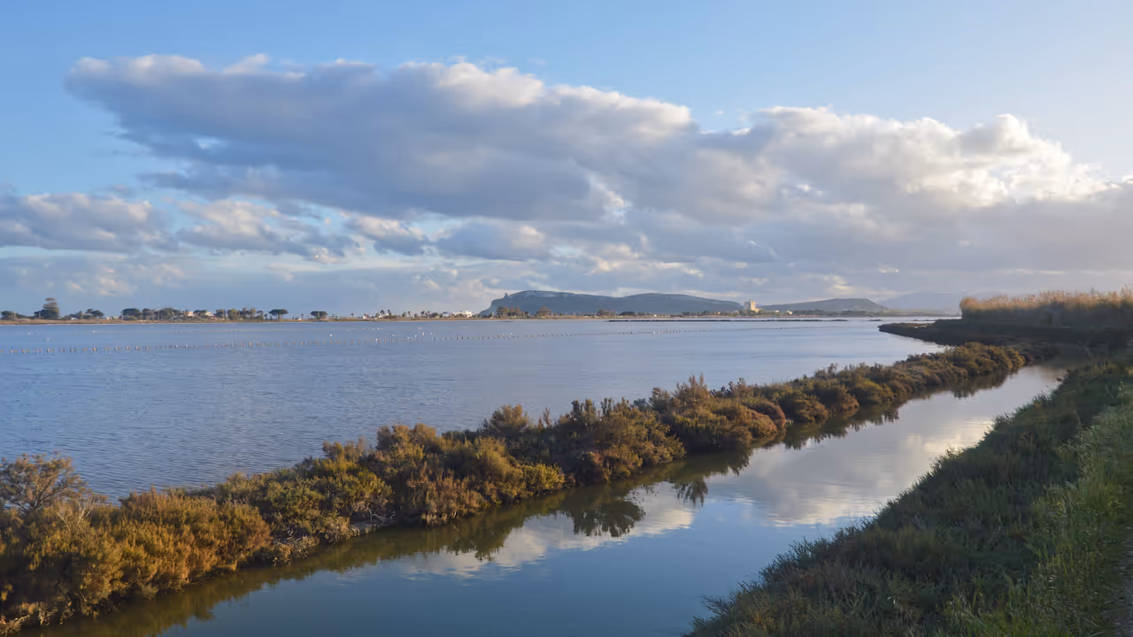 Molentargius-saline regional park in Cagliari