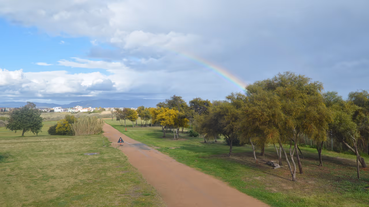 Molentargius-saline regional park in Cagliari