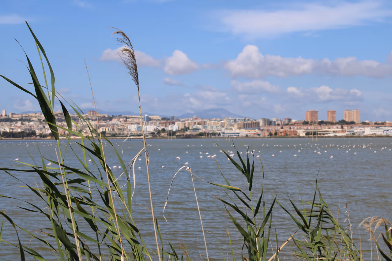 Molentargius-saline regional park in Cagliari