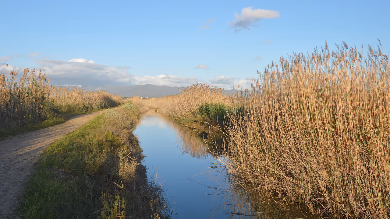 Molentargius-saline regional park in Cagliari