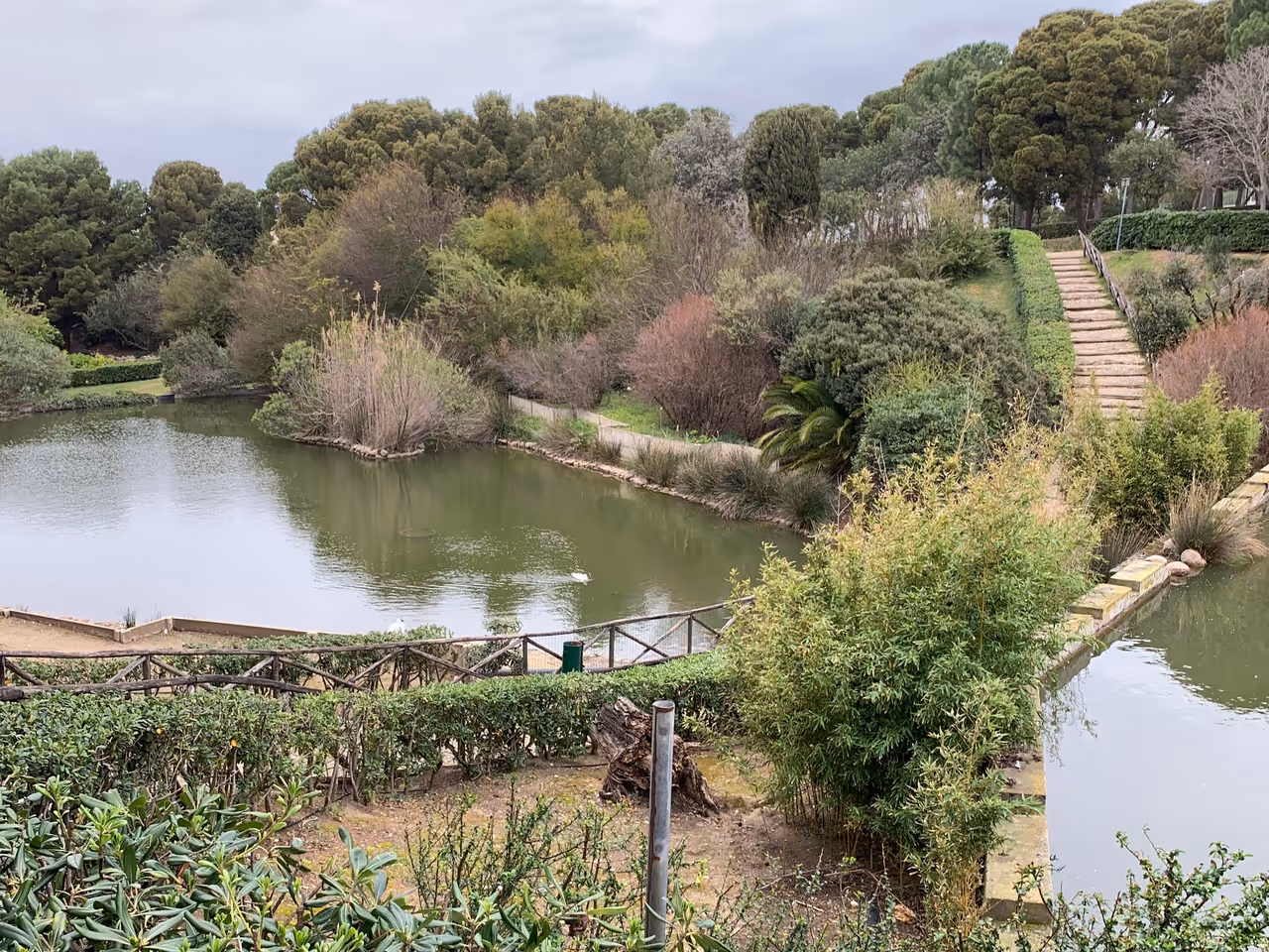 The pond of Monte Urpinu park, Cagliari