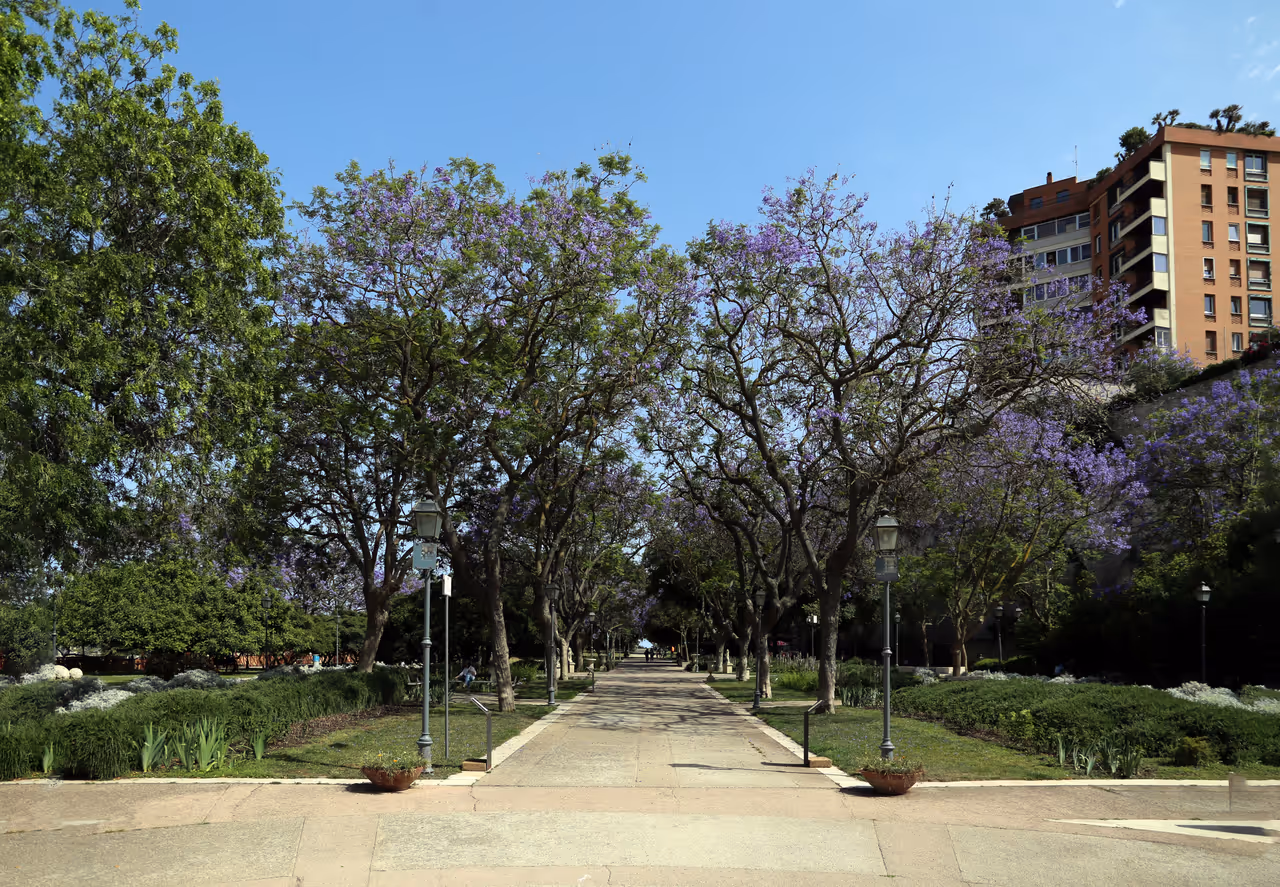 Public gardens of in Cagliari