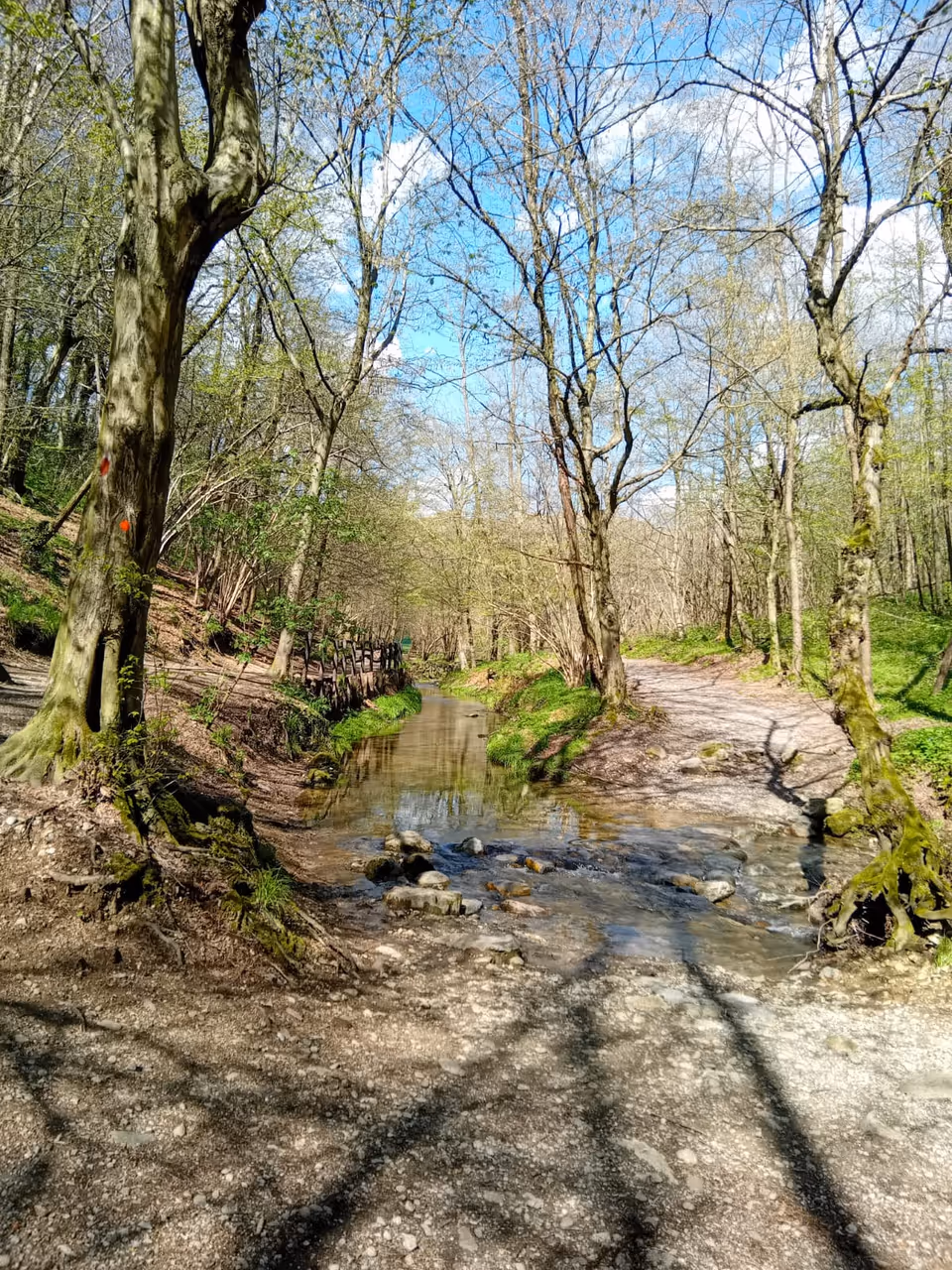 Spina verde regional park in Como