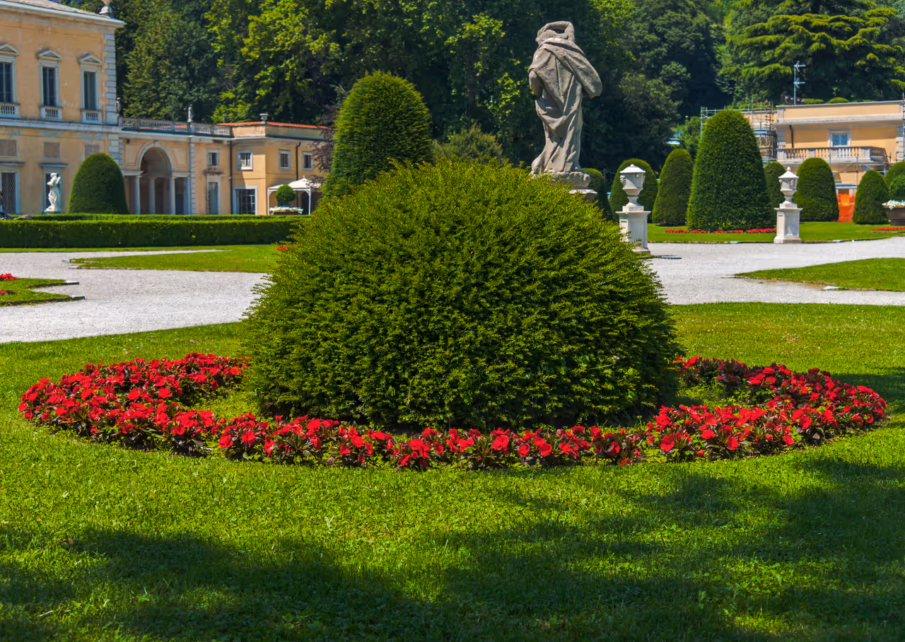 A landscaped shrub with a ring of flowers outside Villa Olmo, Como