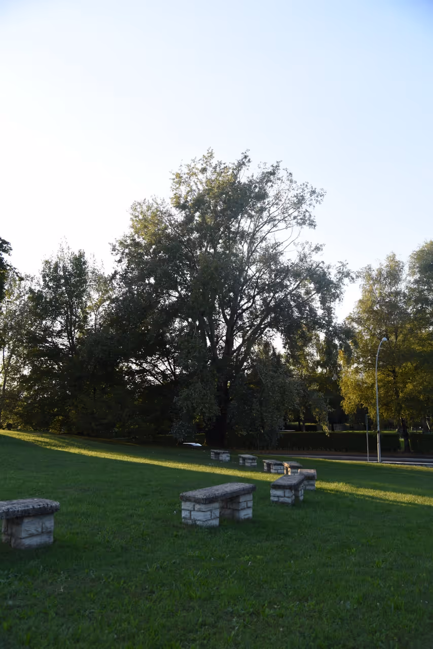 Autumn highlight in Como
