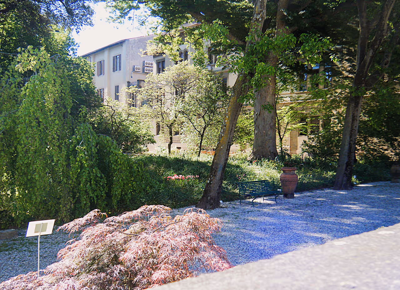 Botanical garden of in Florence