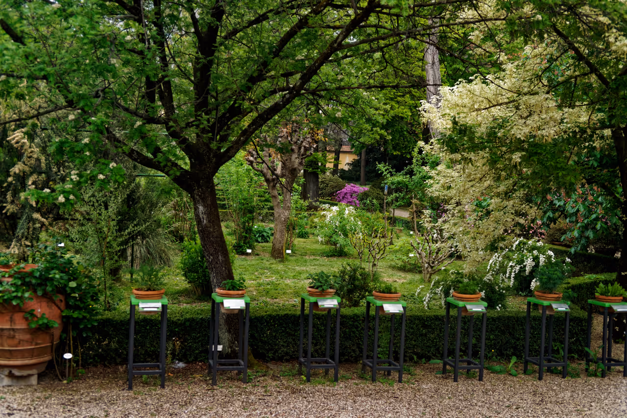 Botanical garden of in Florence