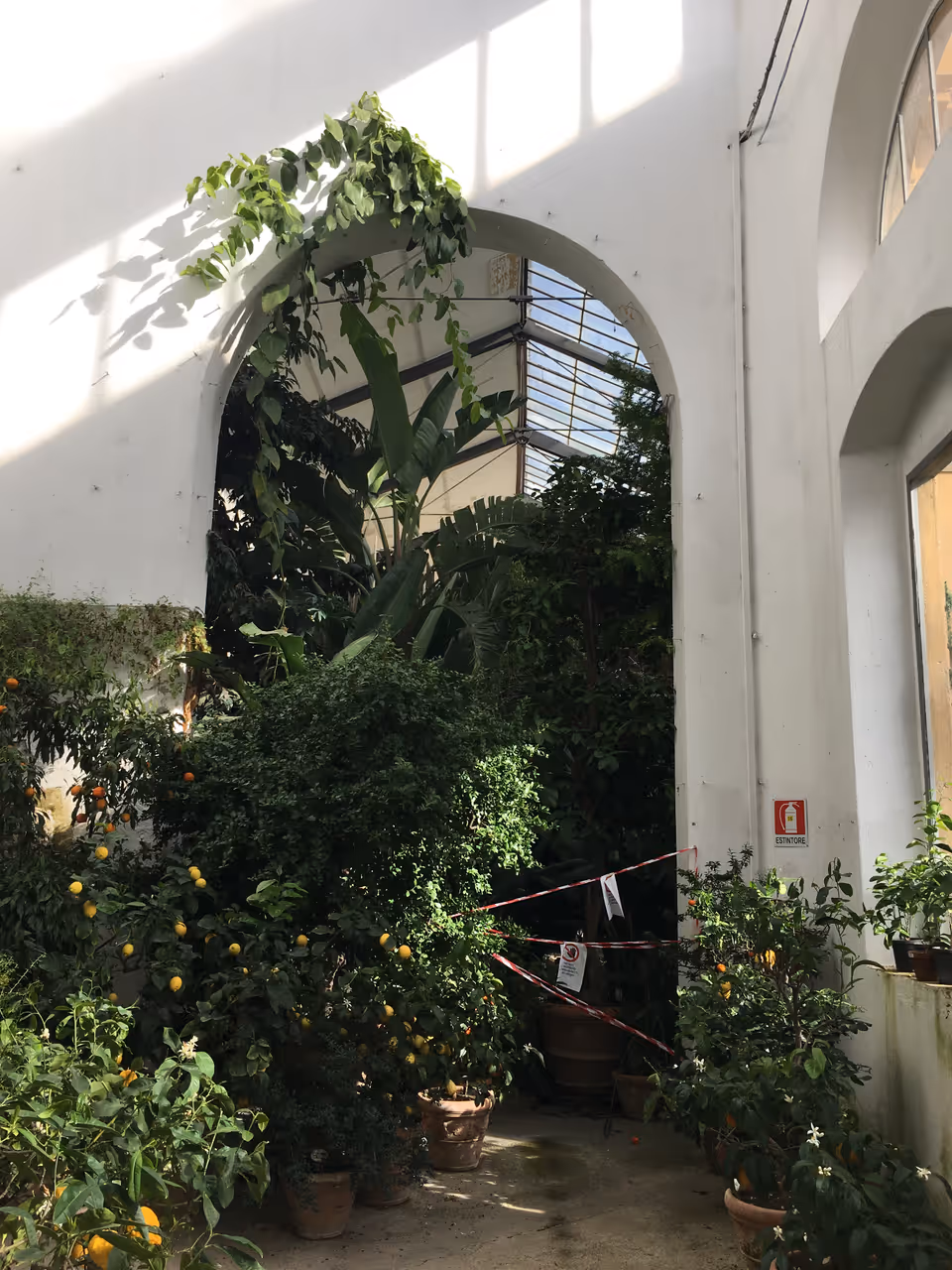 Botanical garden of in Florence