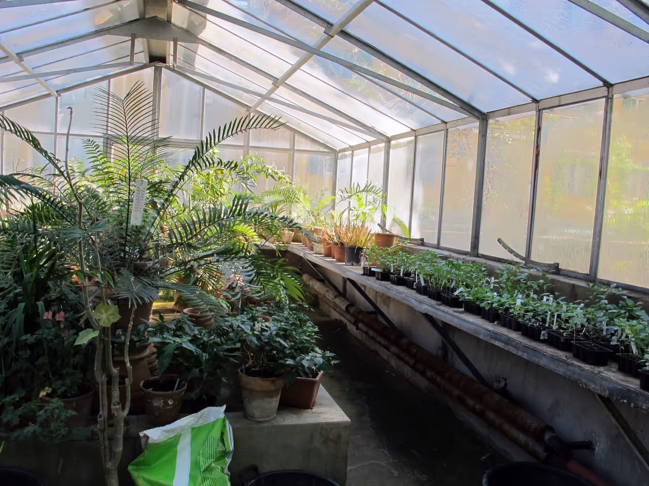 Botanical garden of in Florence