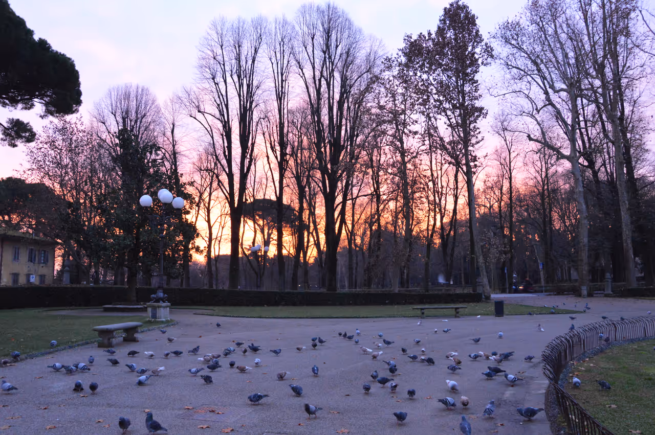 Cascine park in Florence