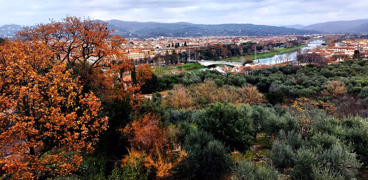 Iris garden in Florence