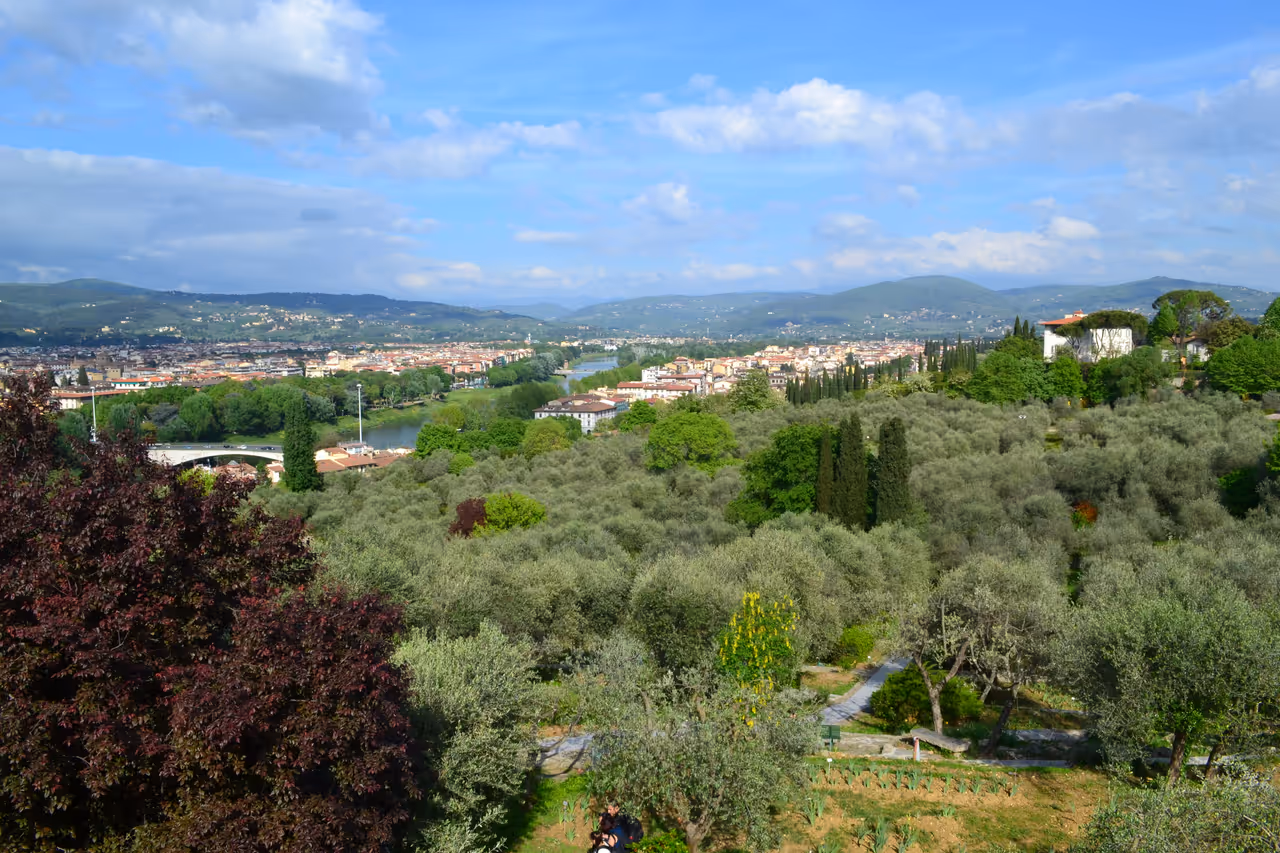 Iris garden in Florence