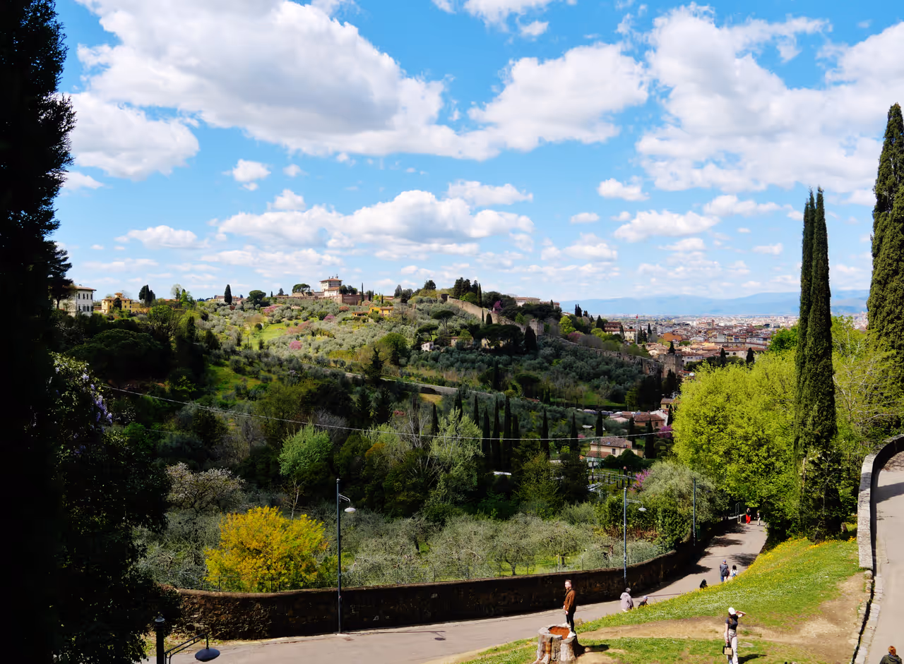 Rose garden in Florence