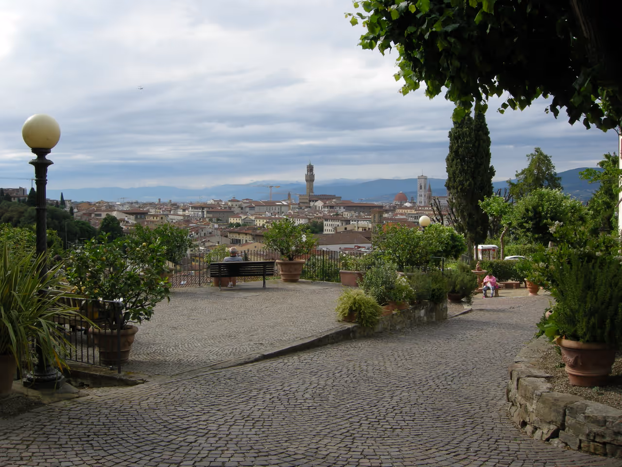 Rose garden in Florence