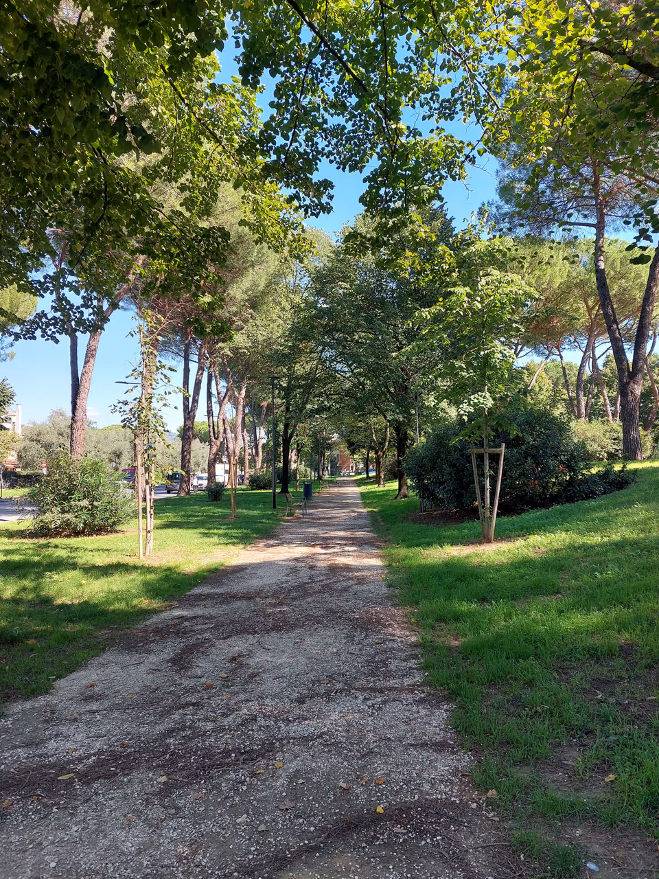 Autumn highlight in Florence