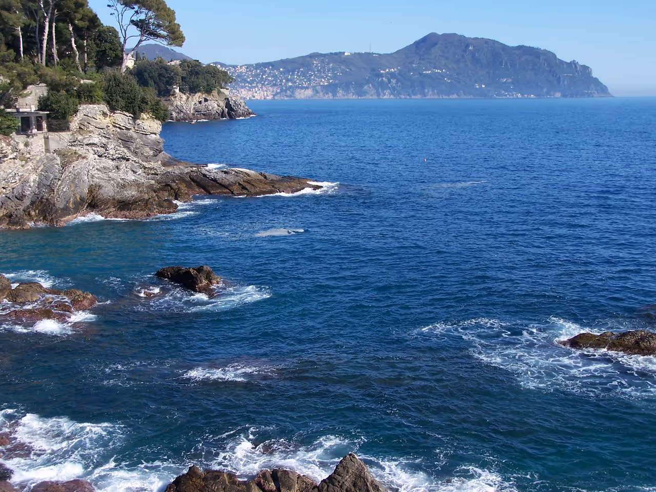 Sailing the gulf of in Genoa