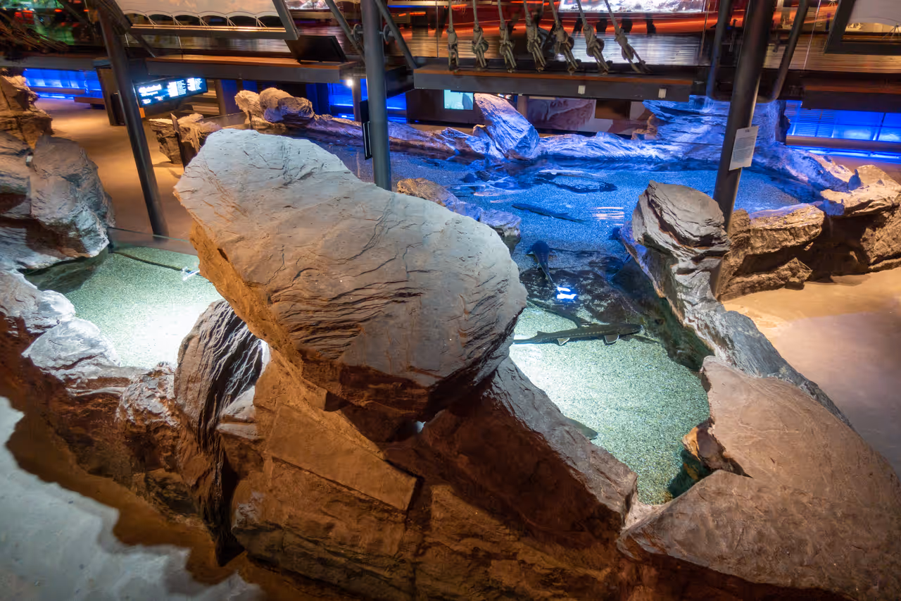 Aquarium of in Genoa