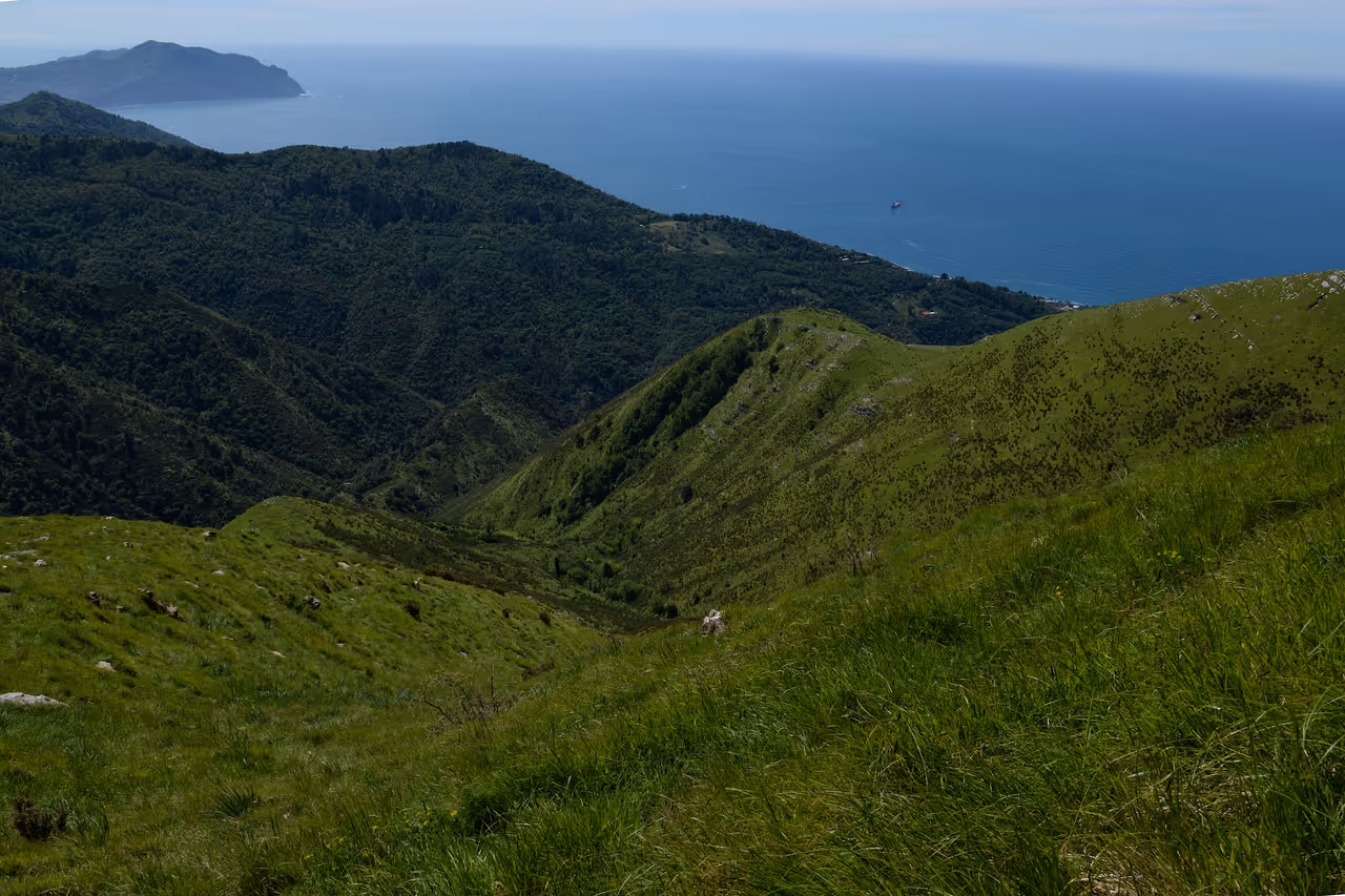 View from Monte Fasce