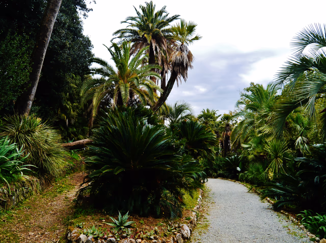 Villa durazzo pallavicini in Genoa