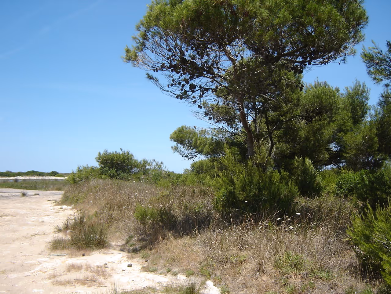 Swimming at san cataldo in Lecce