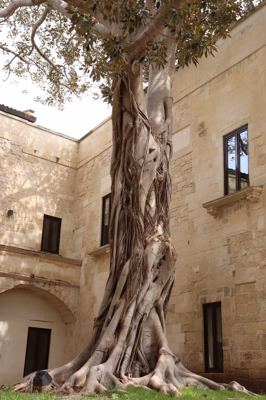 Conservatory of Sant'Anna
