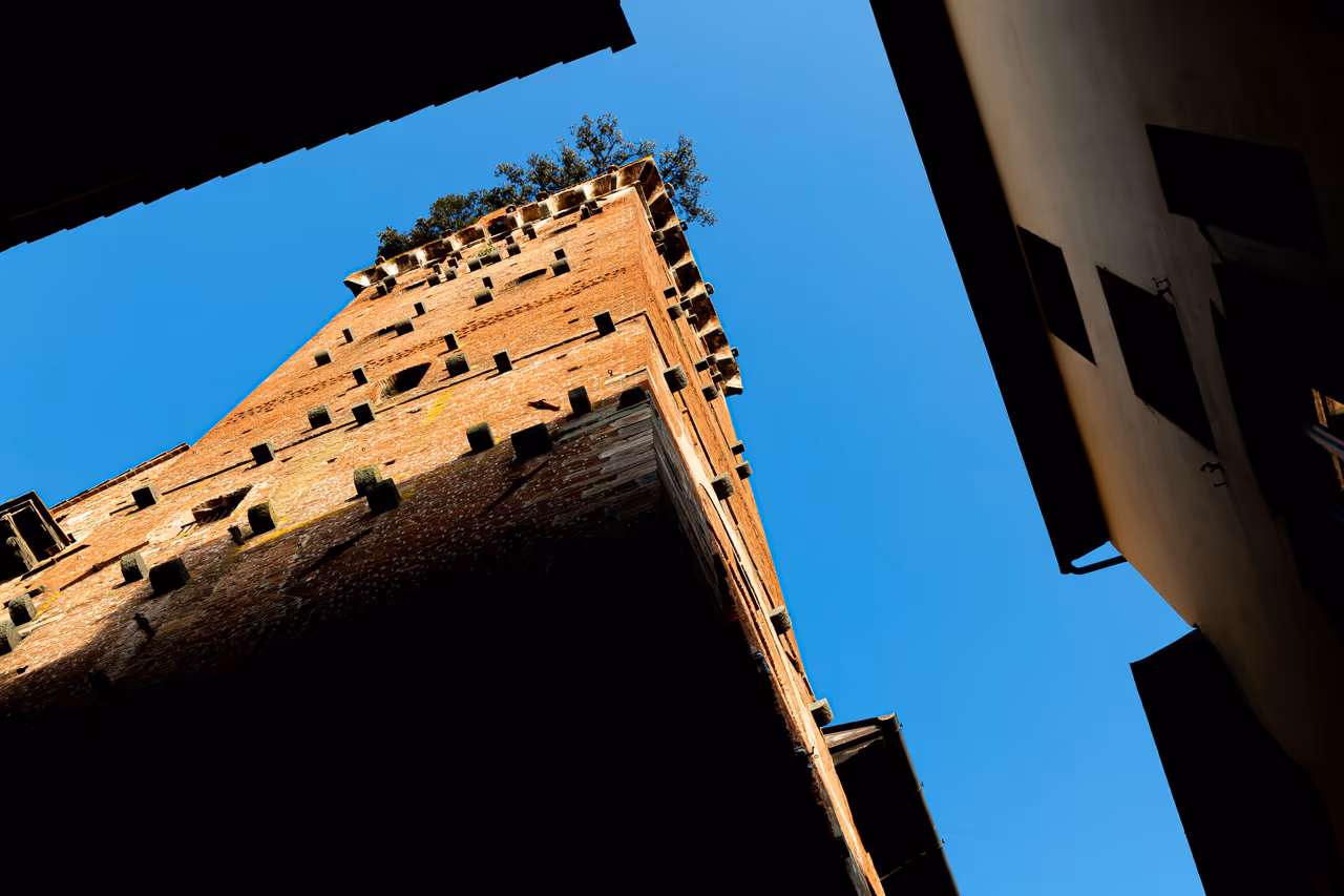 Guinigi tower in Lucca