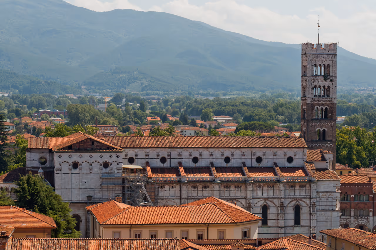 Guinigi tower in Lucca