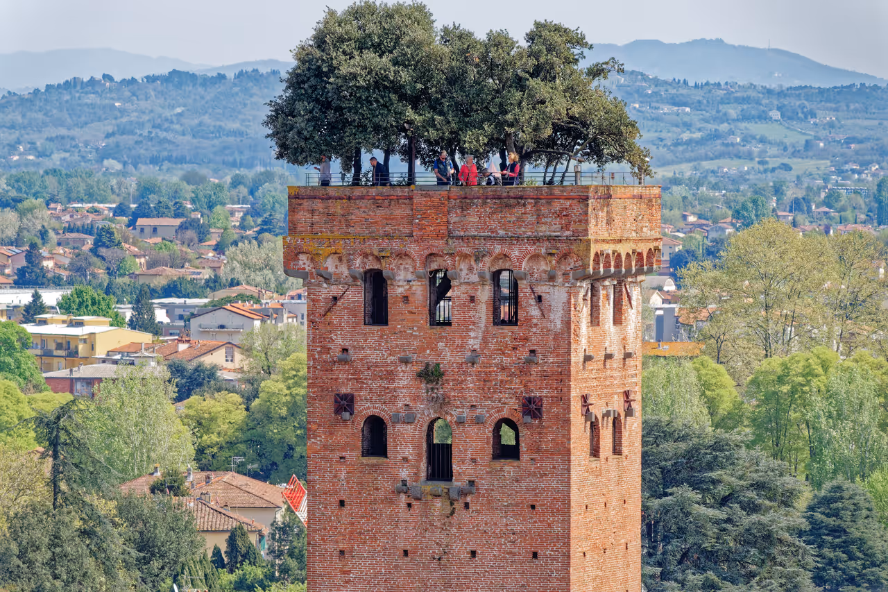 Guinigi tower in Lucca