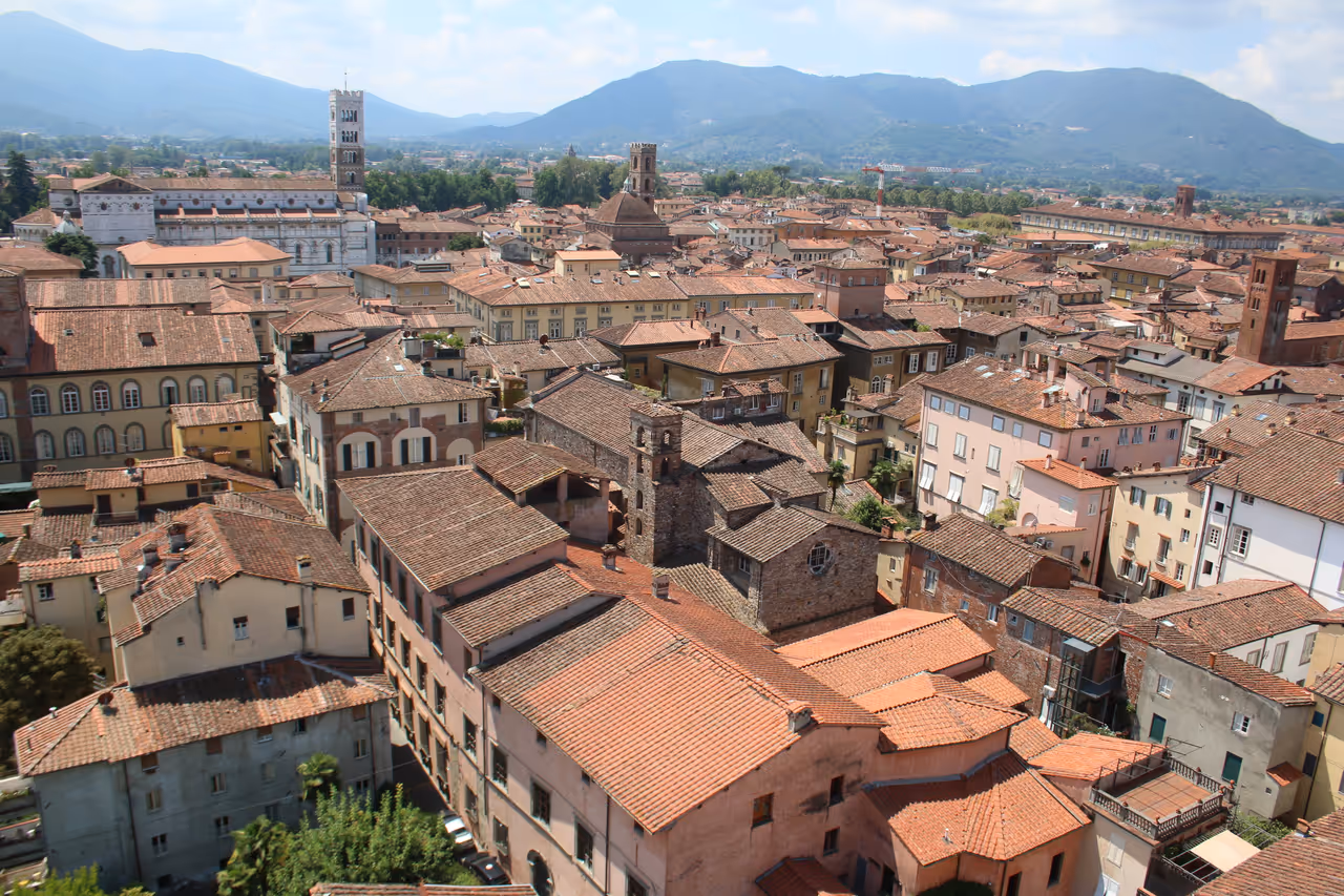 View from the Guinigi tower in Lucca