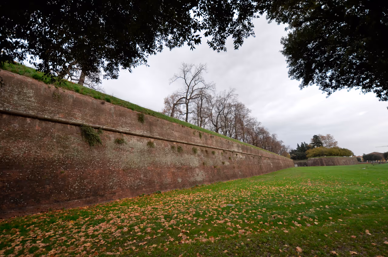 Lucca wall