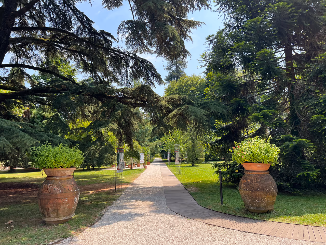 Garden in Lucca