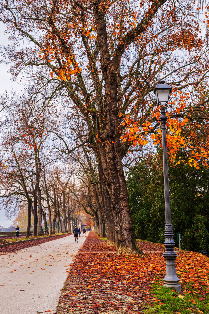 Walking on the walls in autumn