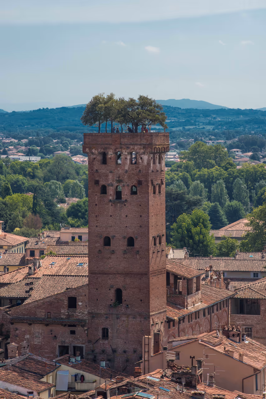 Torre Guinigi, Lucca