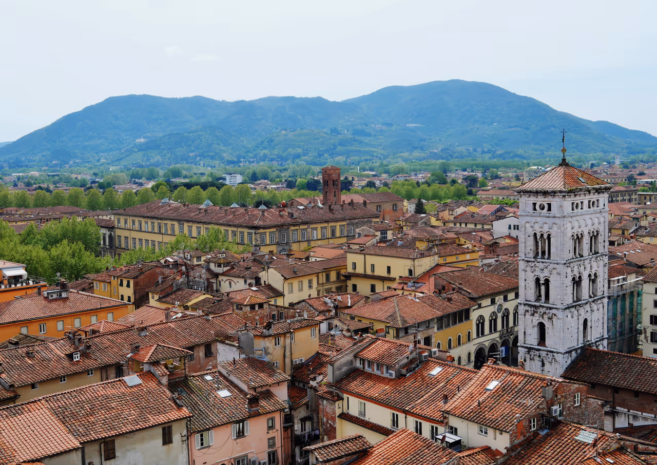 View from the clock tower in Lucca