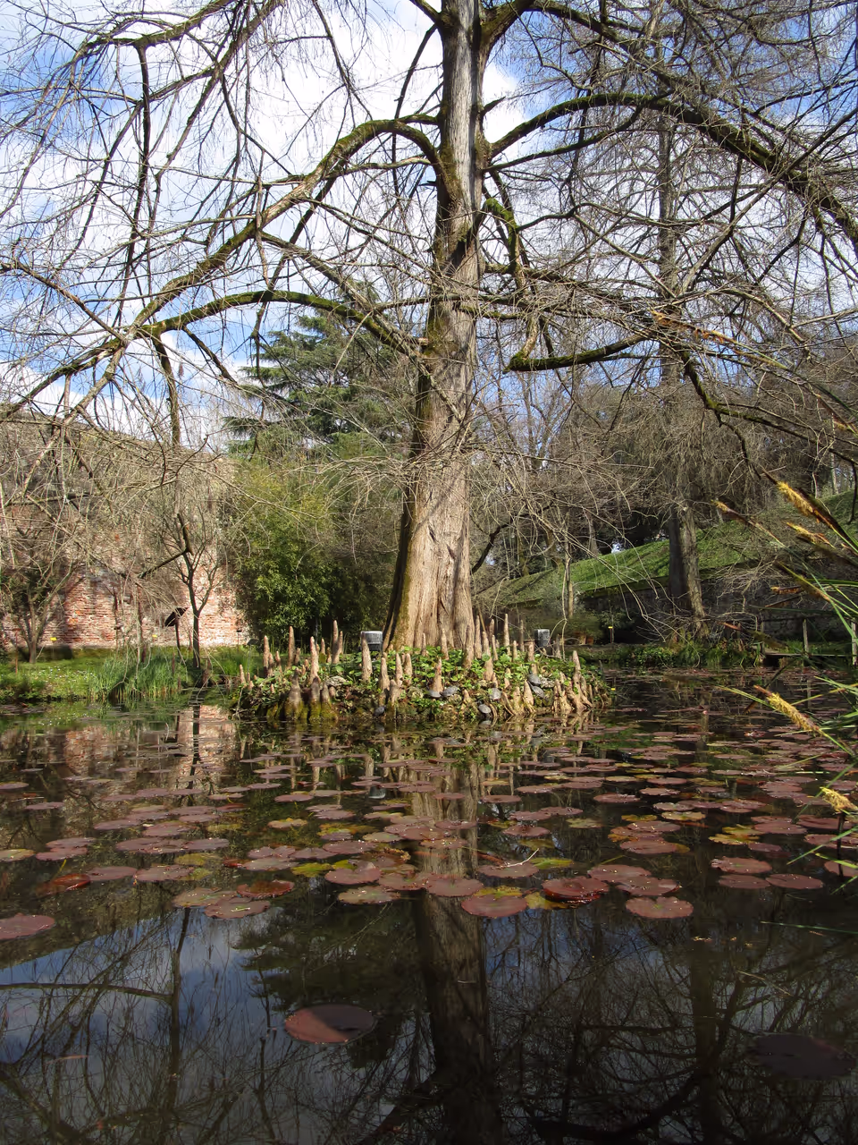 Botanical garden in Lucca