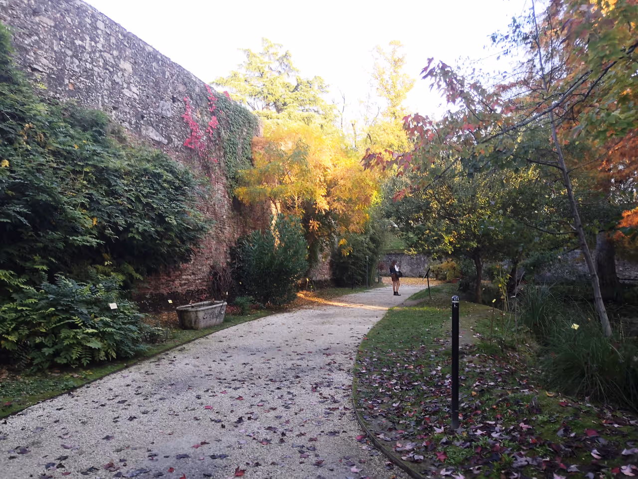 Botanical garden in Lucca