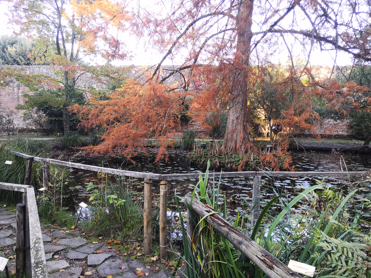 Botanical garden in Lucca