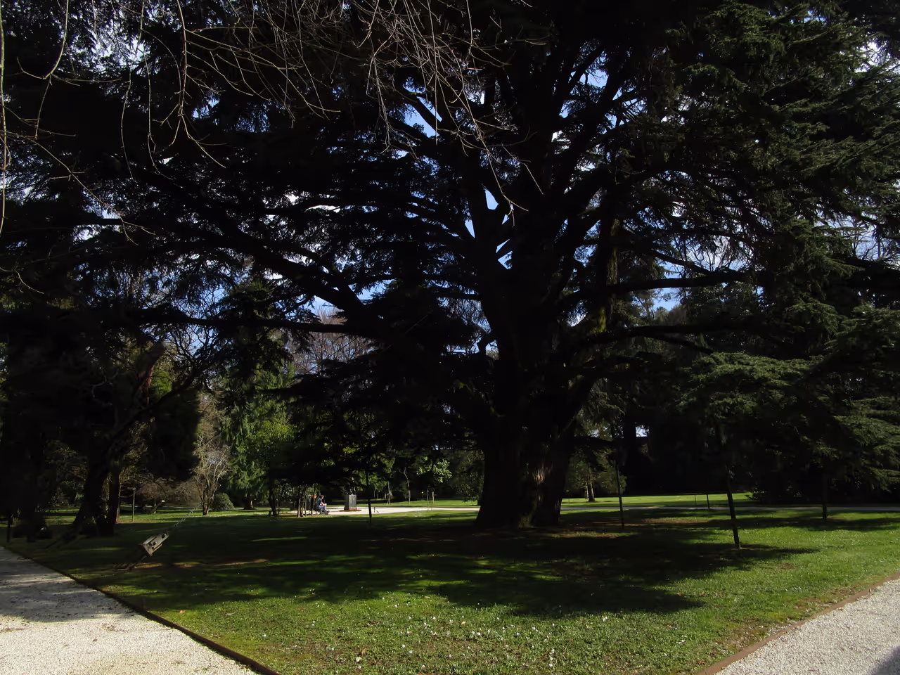 Botanical garden in Lucca