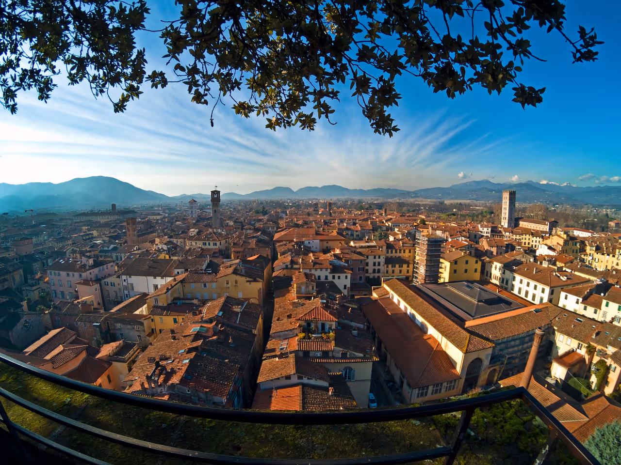 Winter highlight in Lucca