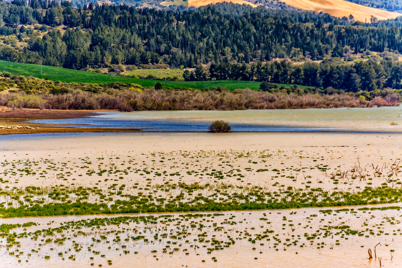 Matera nature, forest and a lake