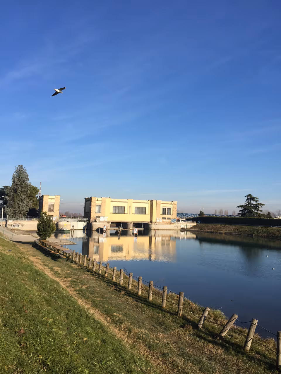 Rowing on the bacchiglione in Padua