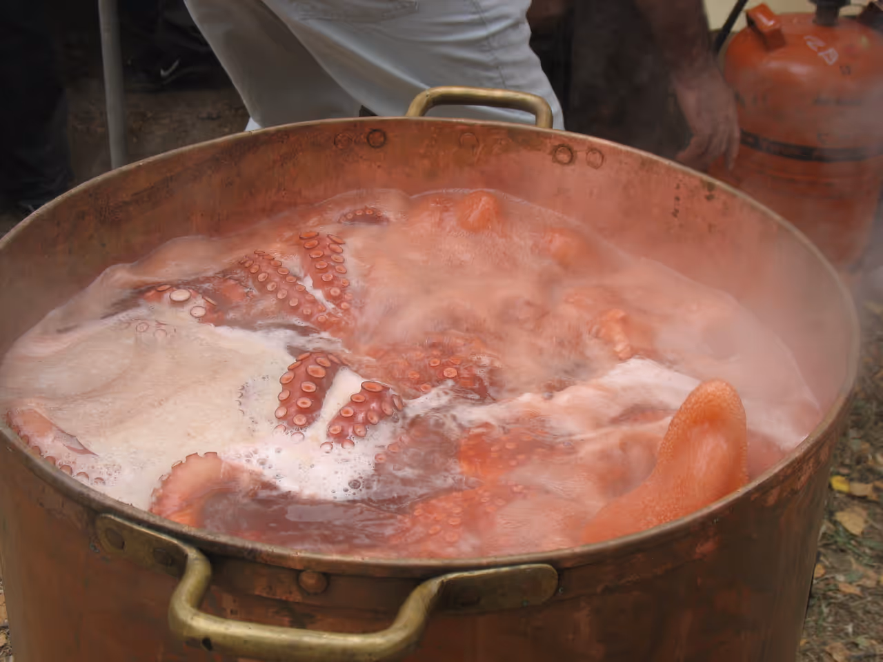 Boiled musky octopus food in Padua