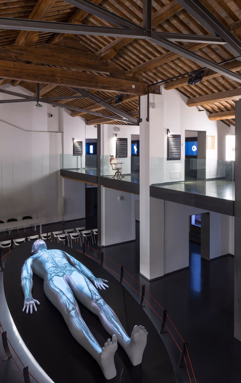 Scientific discoveries walk tour in Padua