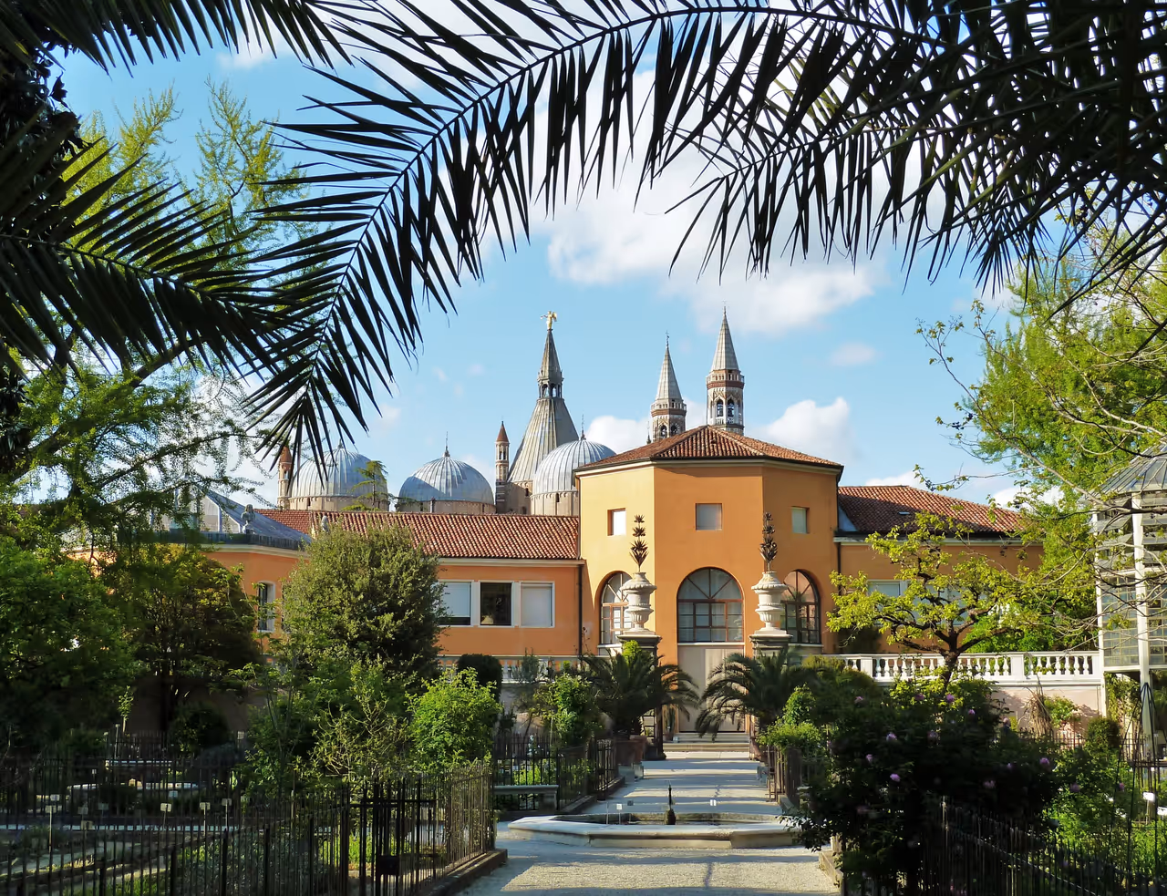 Botanical garden of in Padua