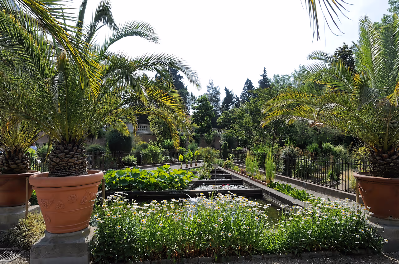 Botanical garden of in Padua