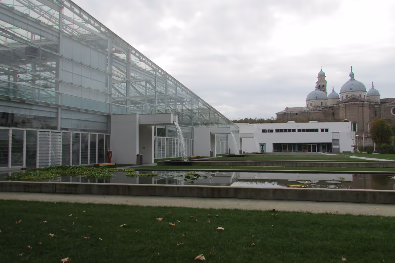 Botanical garden of in Padua