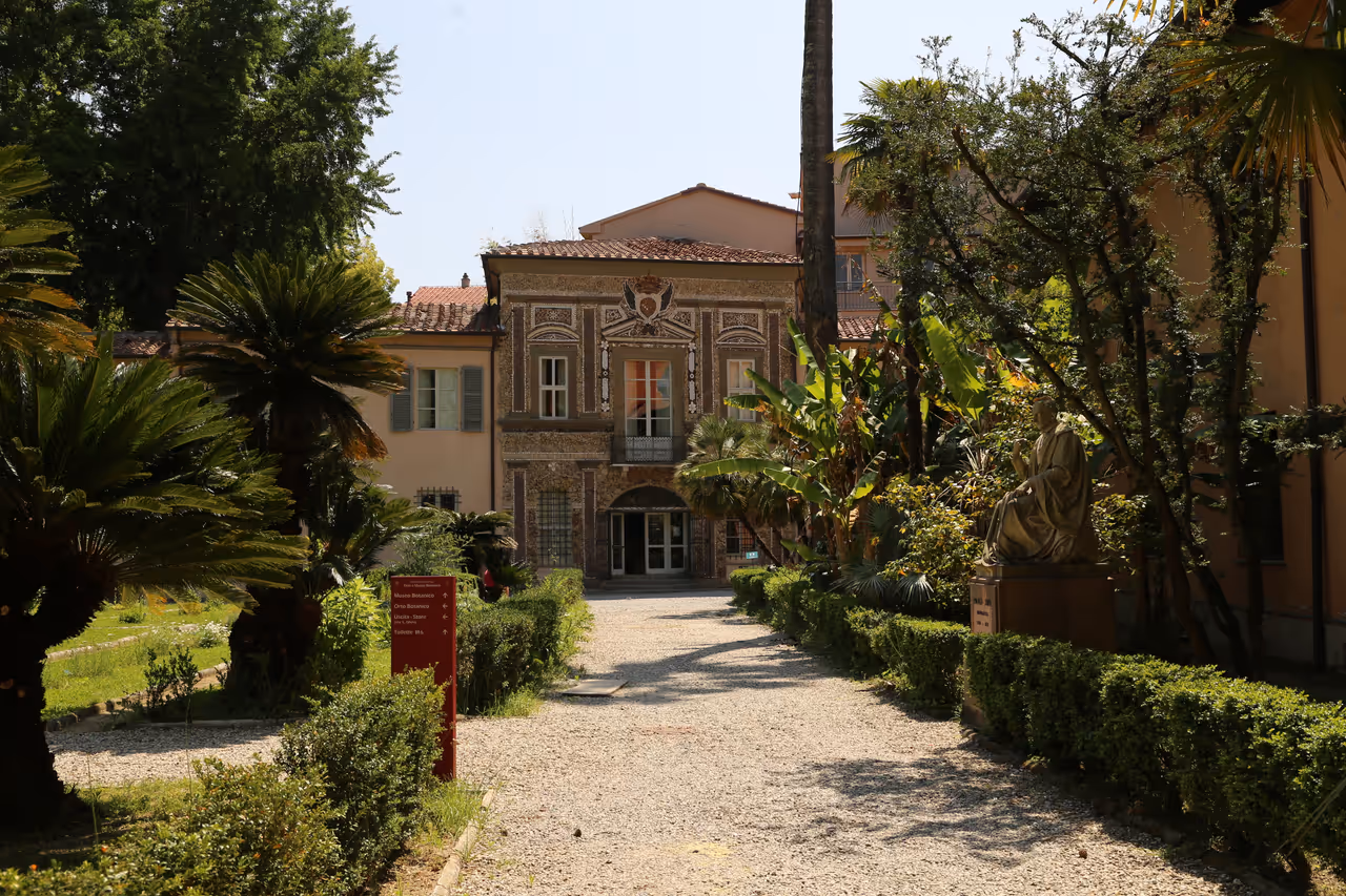 Museum in the Botanical Garden of Pisa