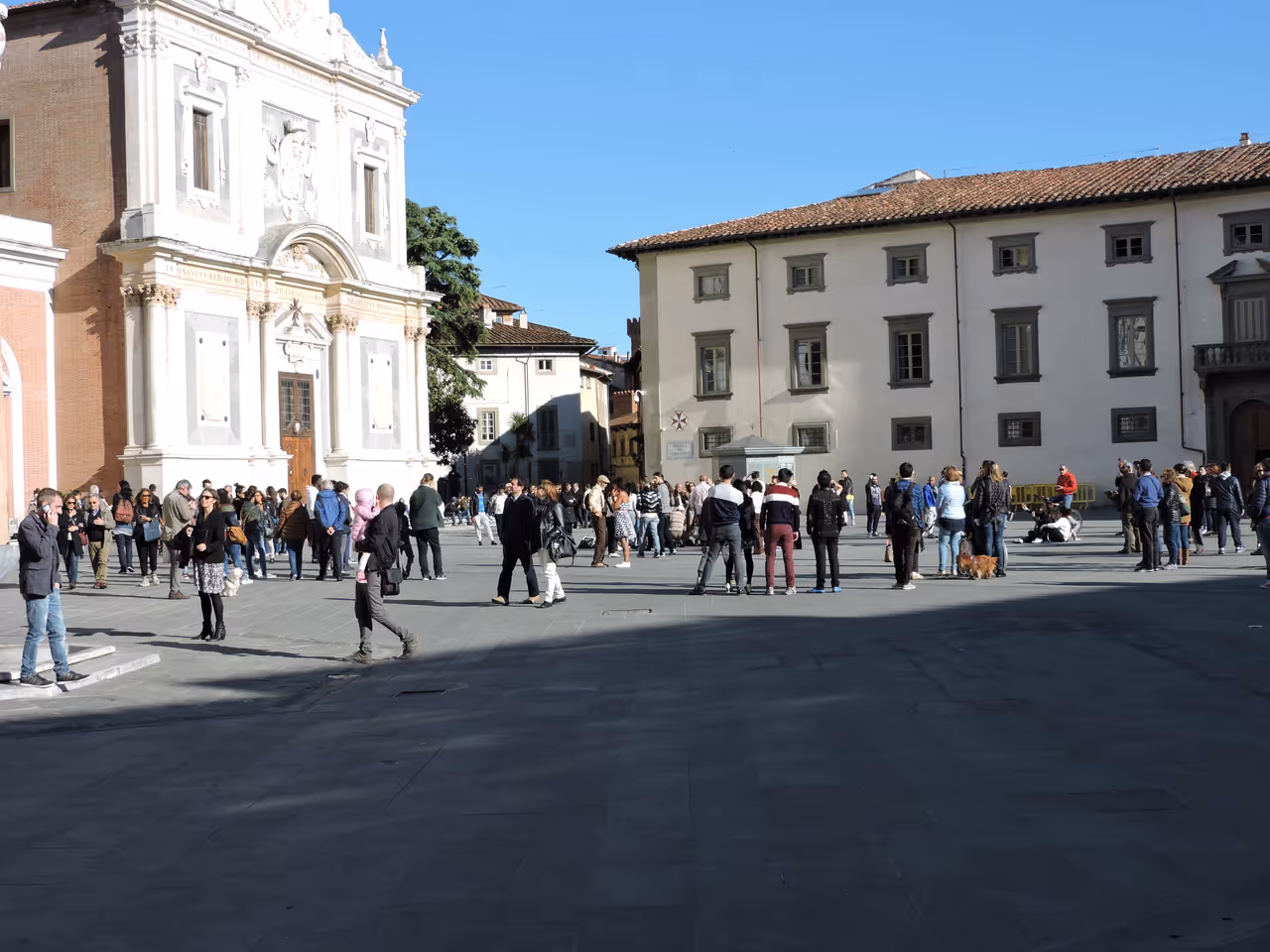 Exploring knights square free activity in Pisa
